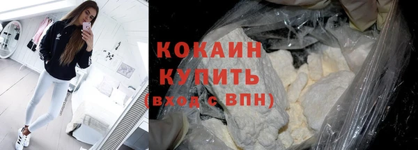 прущие грибы Баксан