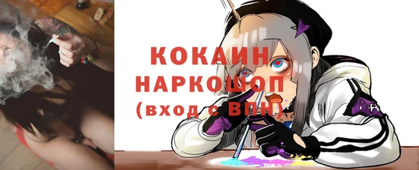прущие грибы Баксан