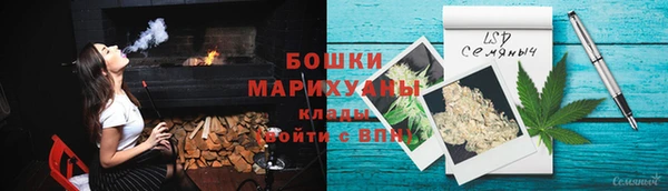 шишки Балахна