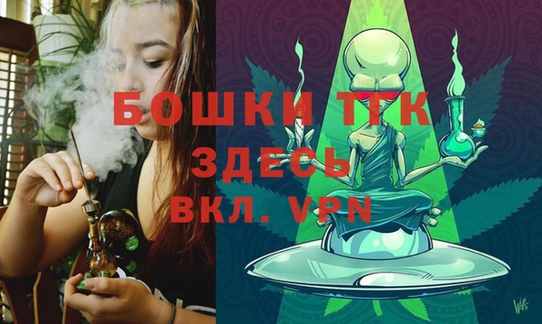 прущие грибы Баксан