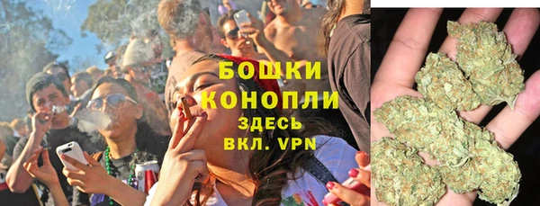 шишки Балахна