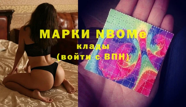 прущие грибы Баксан