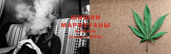 прущие грибы Баксан