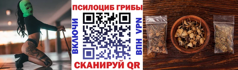 ОМГ ОМГ зеркало  Гаврилов Посад  Галлюциногенные грибы GOLDEN TEACHER 